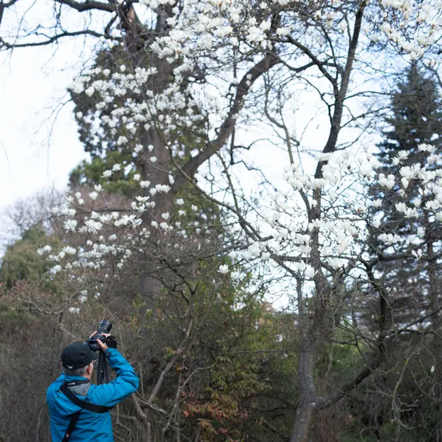23.8.2020 Early Spring Botanics — photograph 20 of 20