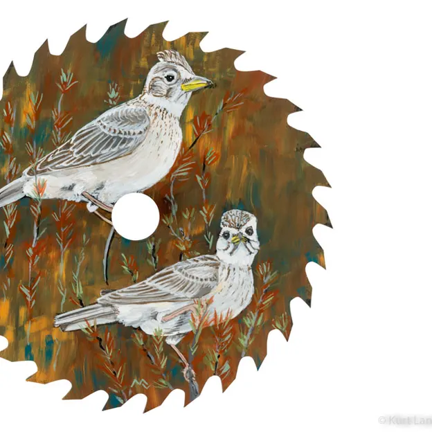 Marguerite's Artworks — photograph 21 of 37