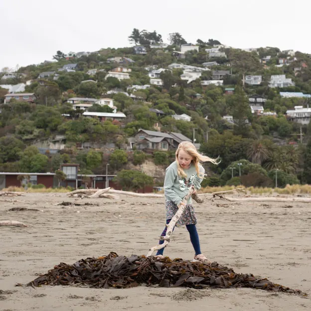 12.5.2020 Sumner Beach — photograph 20 of 24