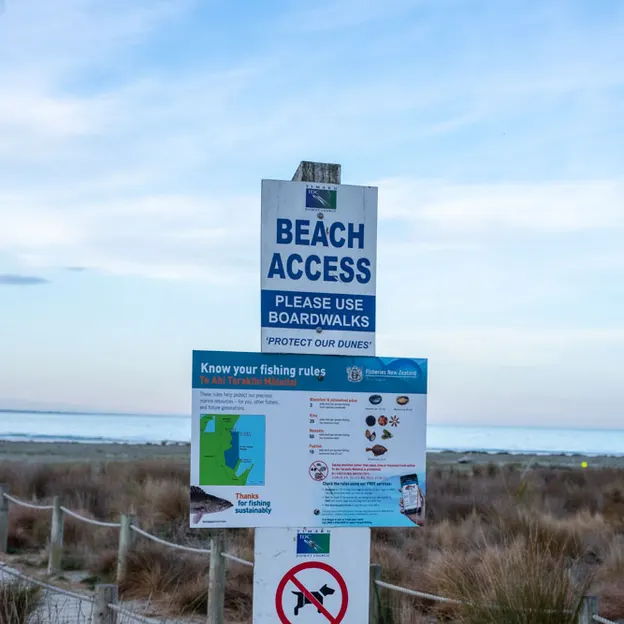 2.10.2020 Trip To Timaru (part 1)  — photograph 116 of 141
