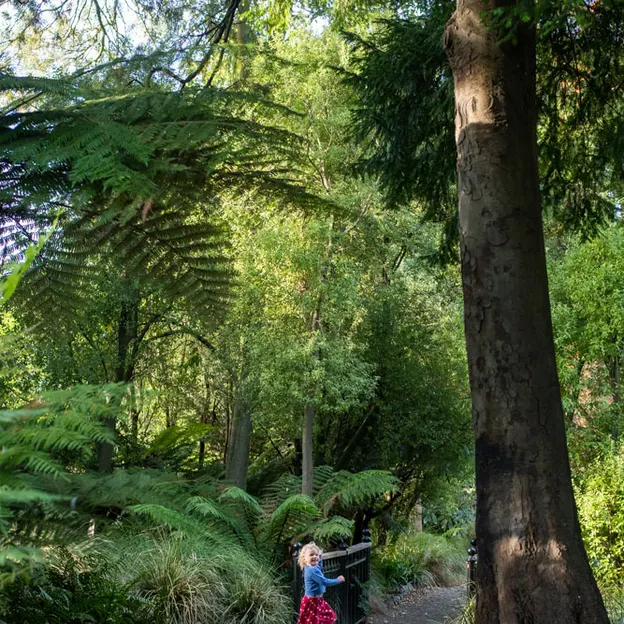 10.5.2020 Riccarton Bush & Millbrook  — photograph 13 of 31