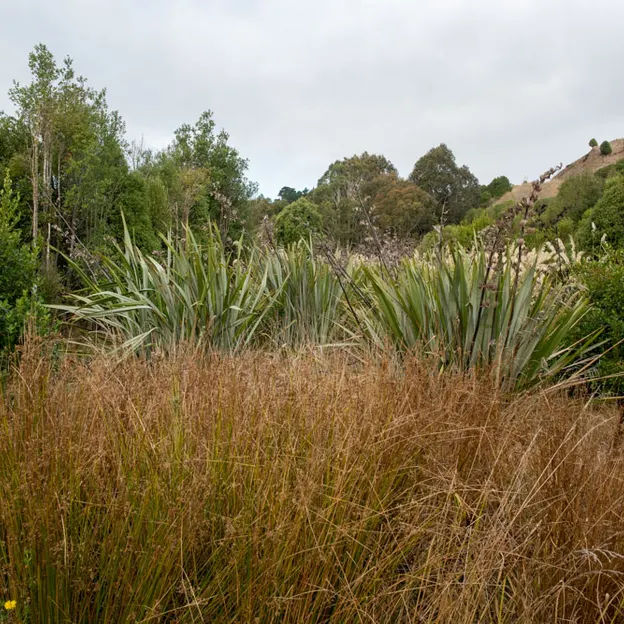 14.4.2020 Halswell Quarry Park — photograph 44 of 46
