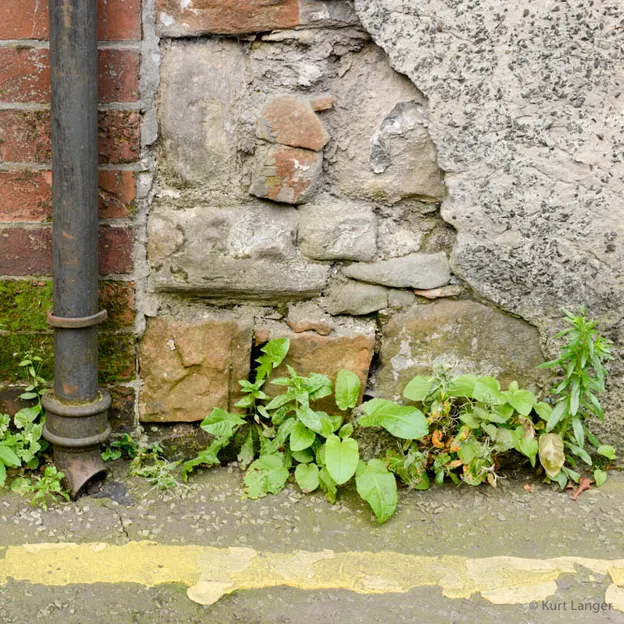 Drainpipes — photograph 10 of 25