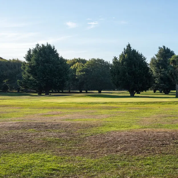 24.4.2020 Around The Botanics — photograph 12 of 18
