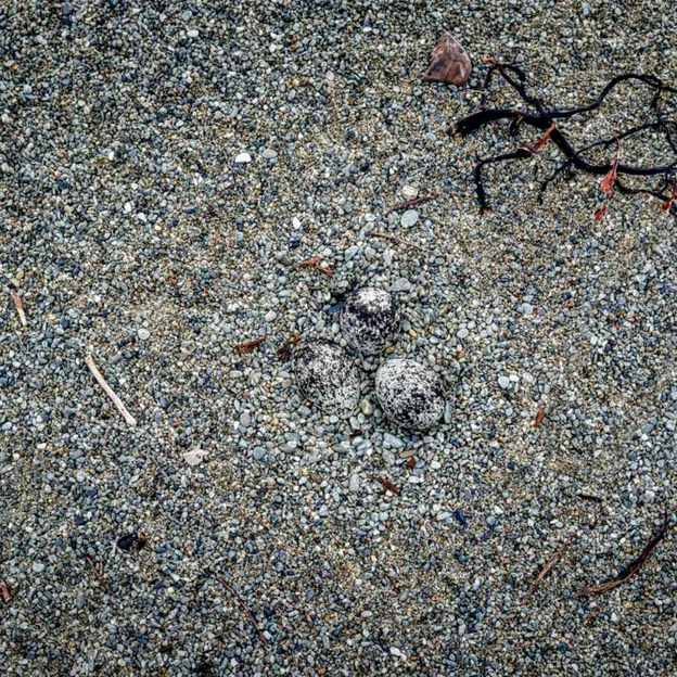 The Forgotten Coast — photograph 29 of 40