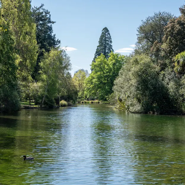 2.10.2020 Trip To Timaru (part 1)  — photograph 48 of 141