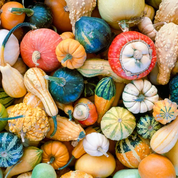 2000 Positive Film Scans — photograph 22 of 26