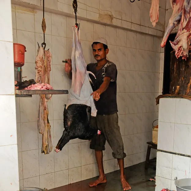 Incredible India 2010 — photograph 226 of 289