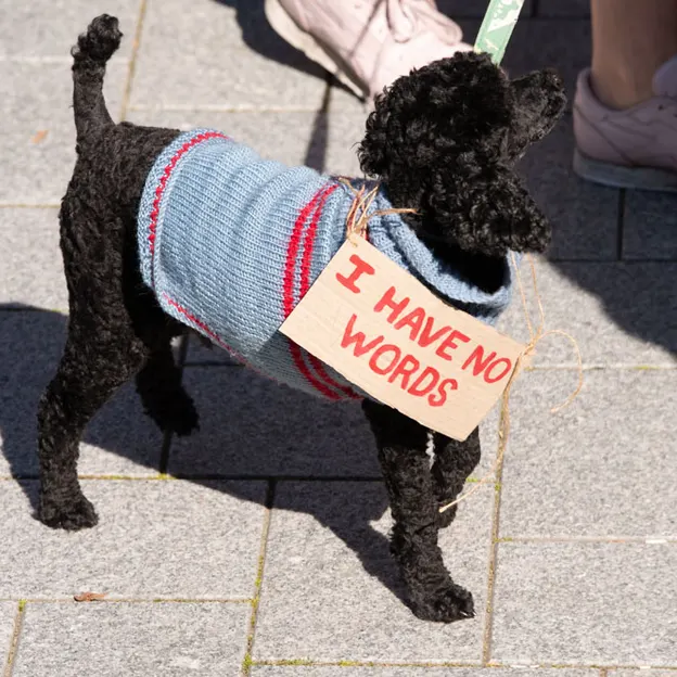 Strike for Climate Christchurch 27.09.2019 — photograph 32 of 83
