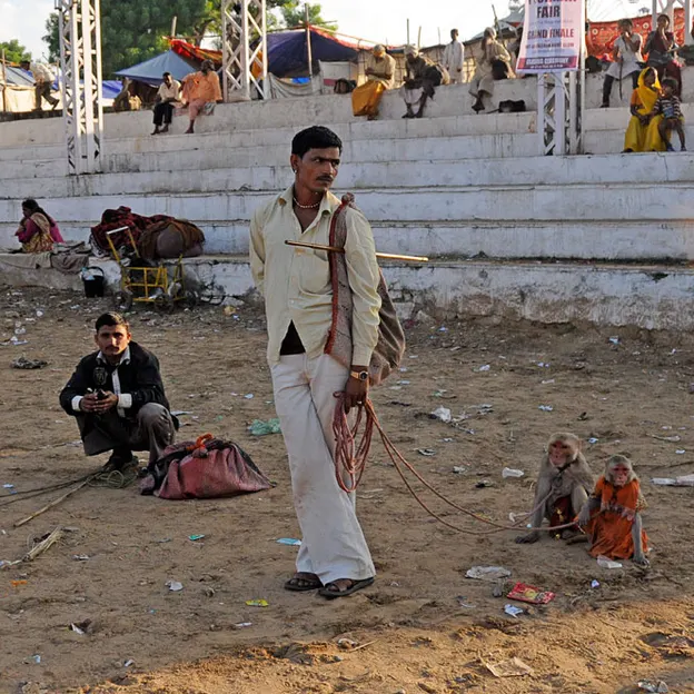 Incredible India 2010 — photograph 105 of 289