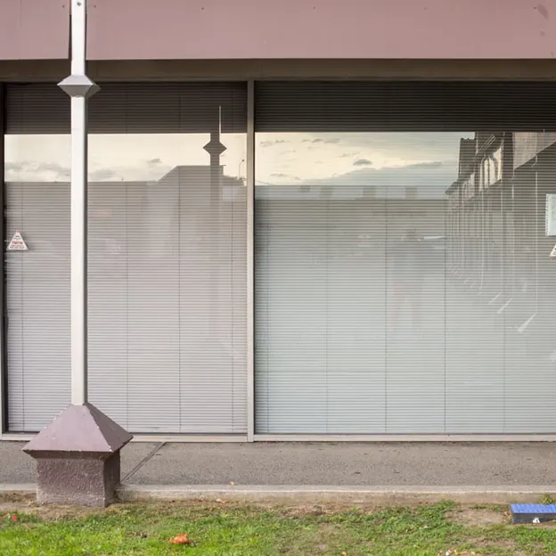 2.5.2020 Addington, South Hagley Park — photograph 13 of 84