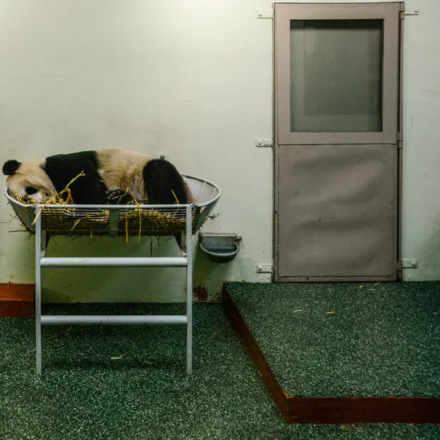 Animals — photograph 80 of 83