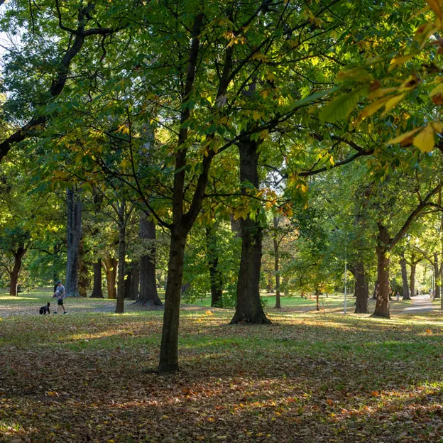 25.4.2020 North Hagley Park — photograph 14 of 38