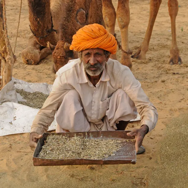 Incredible India 2010 — photograph 58 of 289