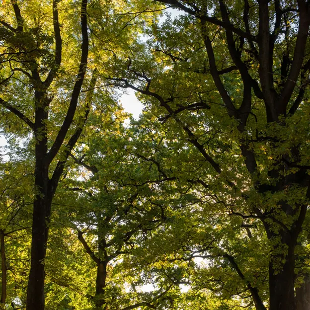25.4.2020 North Hagley Park — photograph 17 of 38