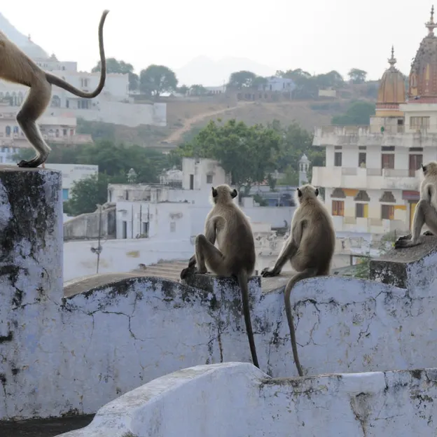 Incredible India 2010 — photograph 69 of 289