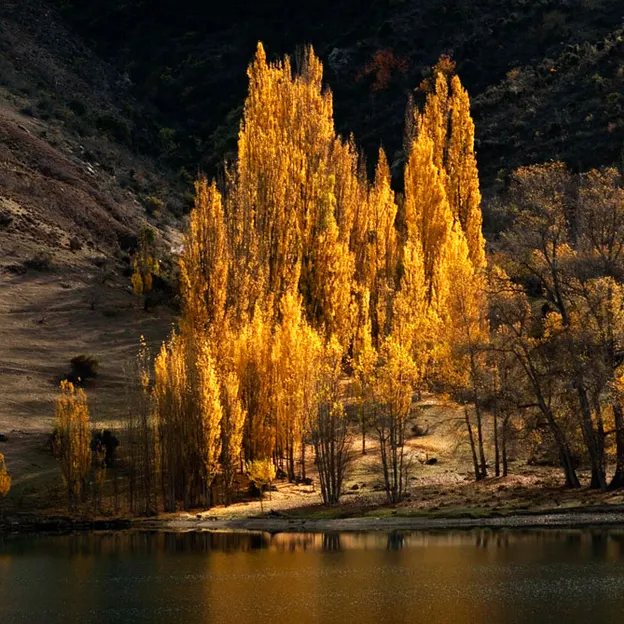 NZ Scenery — photograph 47 of 76