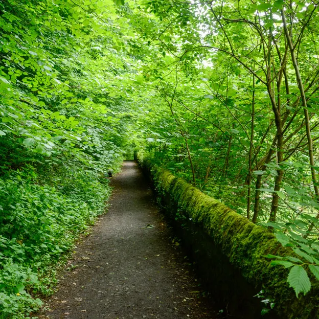 Edinburgh's Beautiful Countryside — photograph 12 of 34