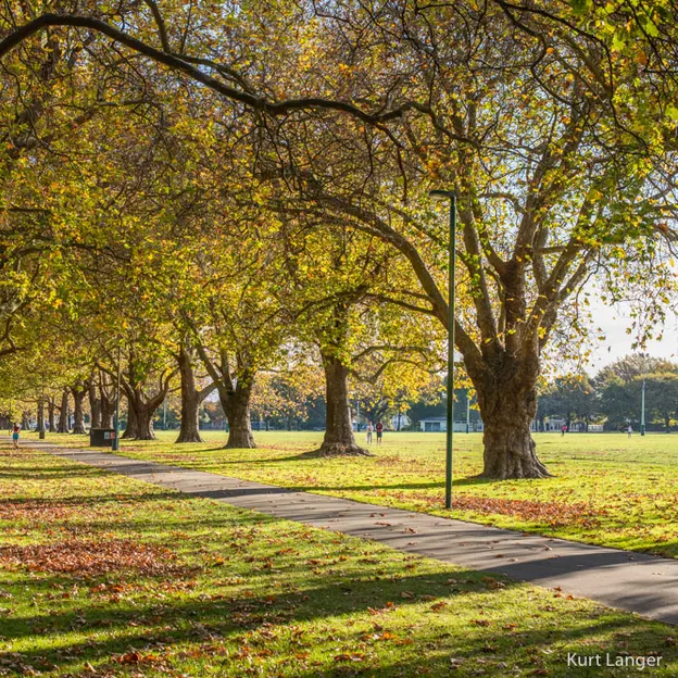 24.4.2020 Around The Botanics — photograph 10 of 18