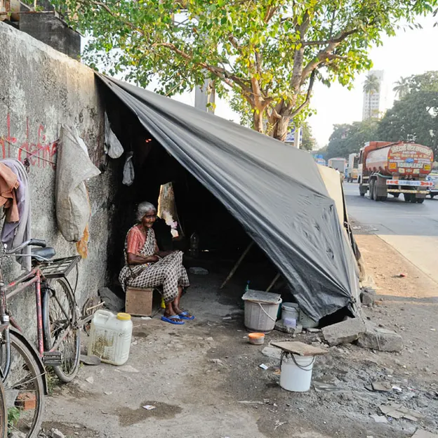 Incredible India 2010 — photograph 268 of 289