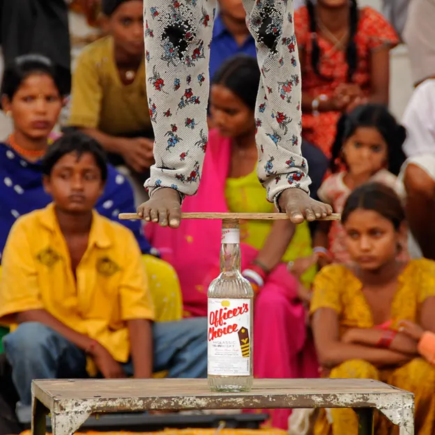 Incredible India 2010 — photograph 84 of 289