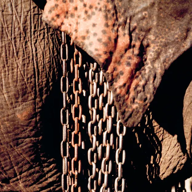 2002 Animal Scans — photograph 11 of 24