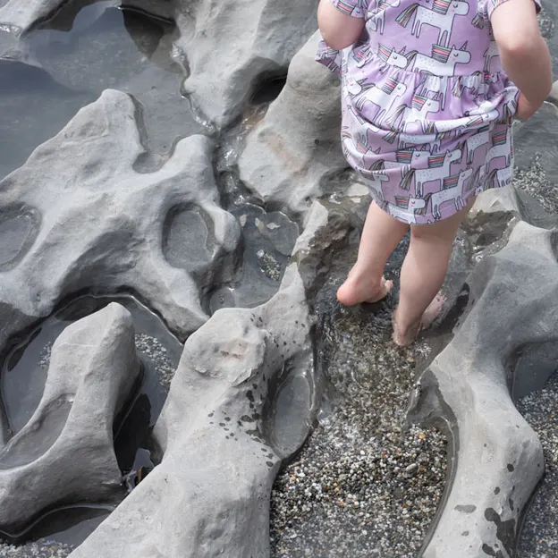 8.1.2020 Punakaiki — photograph 45 of 99
