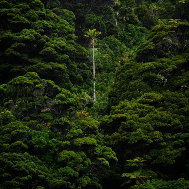 NZ Scenery — photograph 30 of 76