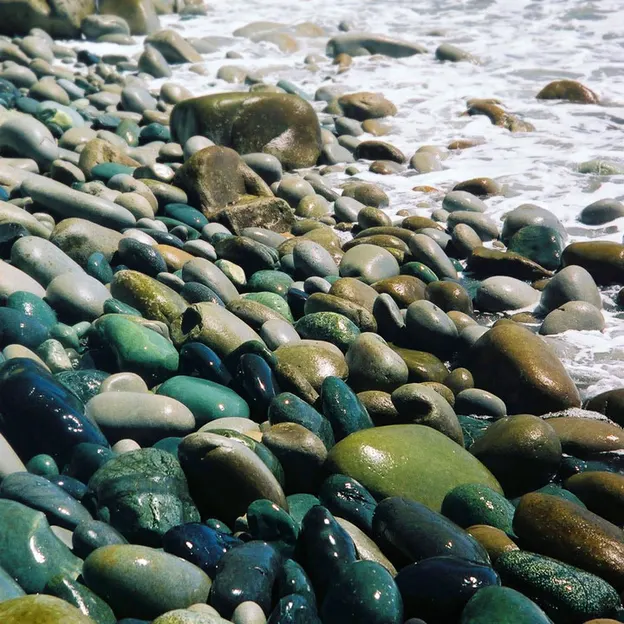 NZ Scenery — photograph 59 of 76