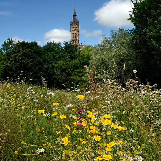 Glasgow 2012 — photograph 208 of 228