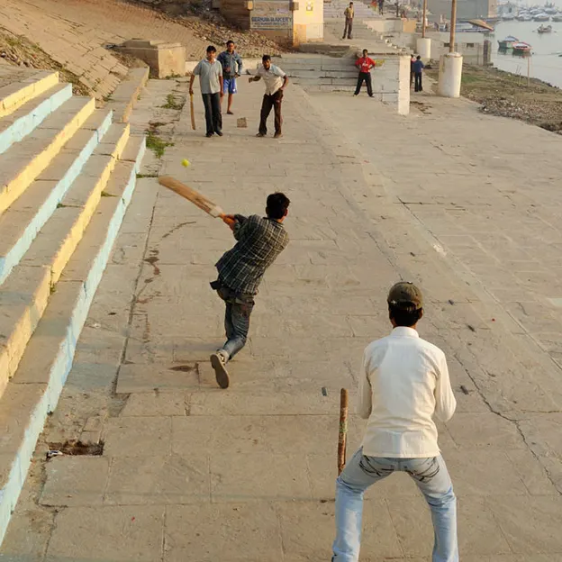 Incredible India 2010 — photograph 210 of 289