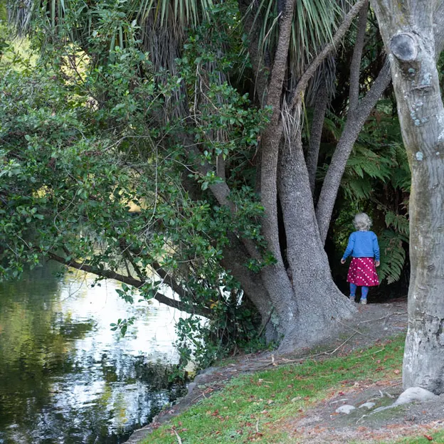 10.5.2020 Riccarton Bush & Millbrook  — photograph 22 of 31