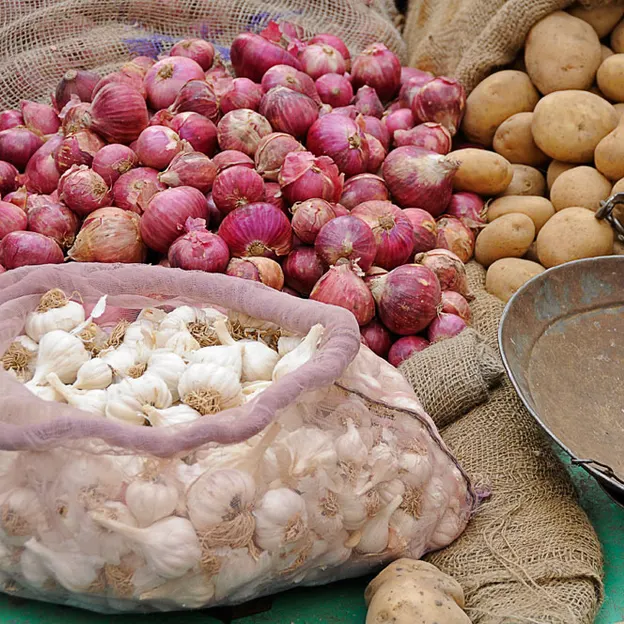 Incredible India 2010 — photograph 48 of 289