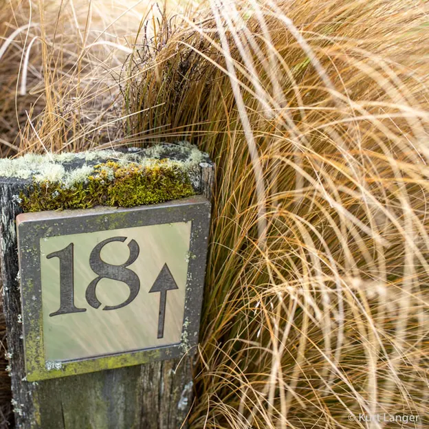 11.7.2020 Terrace Downs — photograph 61 of 86