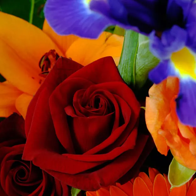 Flowers — photograph 10 of 12