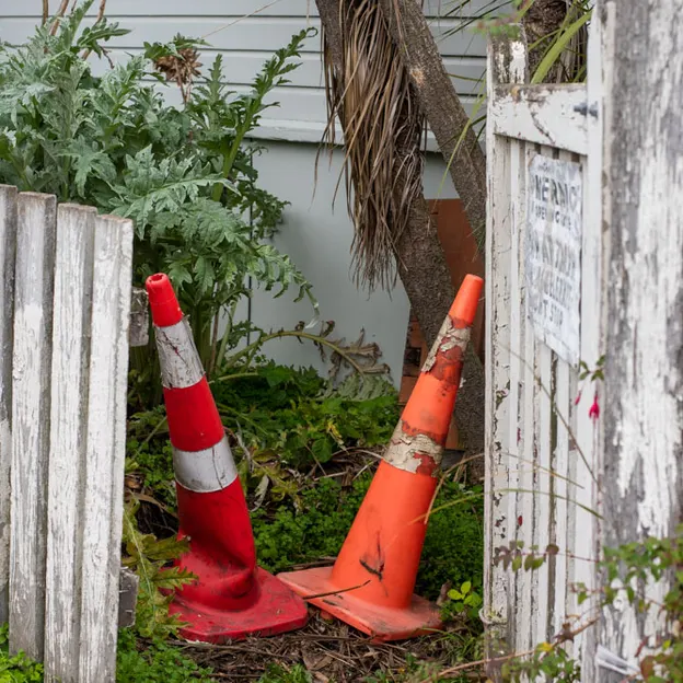 11.6.2020 Lyttelton Walkabouts — photograph 23 of 73