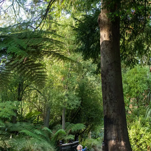 10.5.2020 Riccarton Bush & Millbrook  — photograph 15 of 31