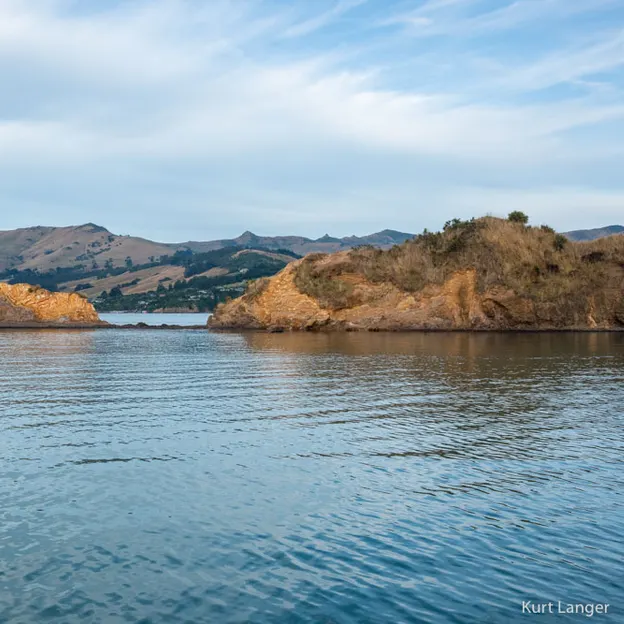 27.1.2020 Little River & Onawe Peninsula — photograph 18 of 32