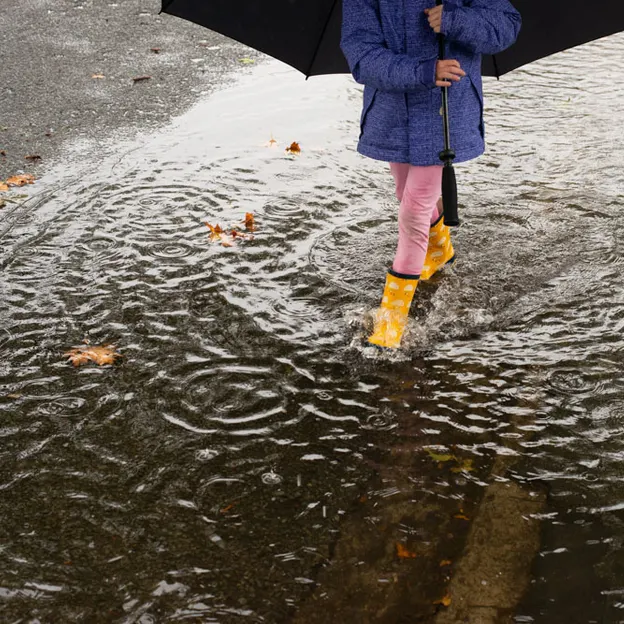 30.3.2020 A Walk In The Rain — photograph 9 of 22