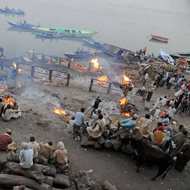 Incredible India 2010 — photograph 202 of 289
