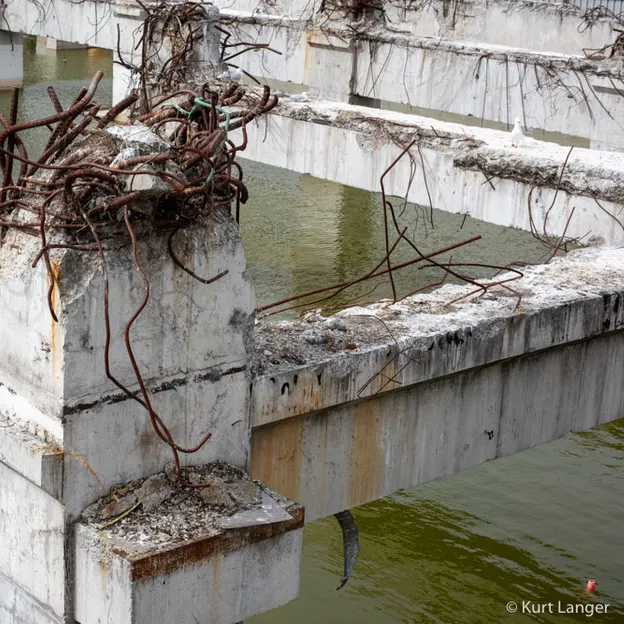 20.2.2020 Heidi, Prison Tree, City Lake — photograph 9 of 11