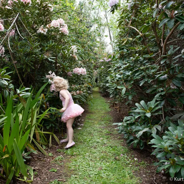 Little River Open Garden Day 27.10.2019 — photograph 52 of 113