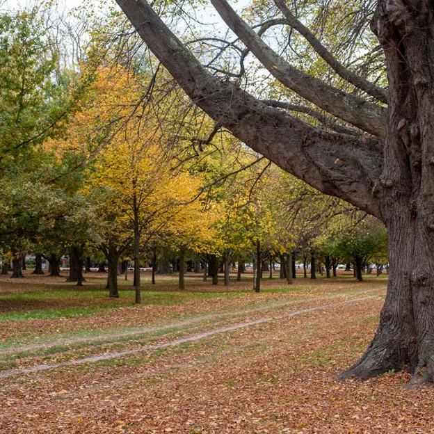 2.5.2020 Addington, South Hagley Park — photograph 73 of 84