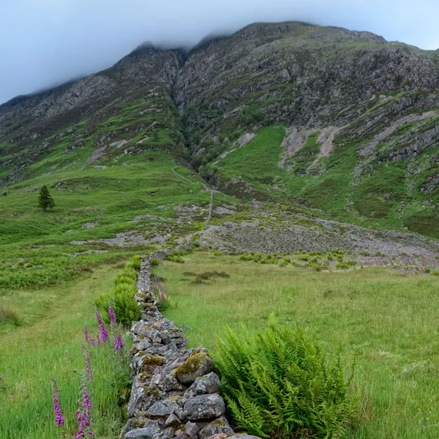 Scotlands Countryside 2012 — photograph 57 of 99