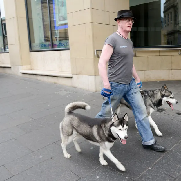 Dogs — photograph 15 of 20
