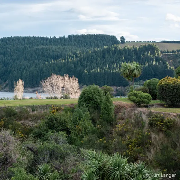 6.8.2020 Mt Hutt Lodge — photograph 9 of 48