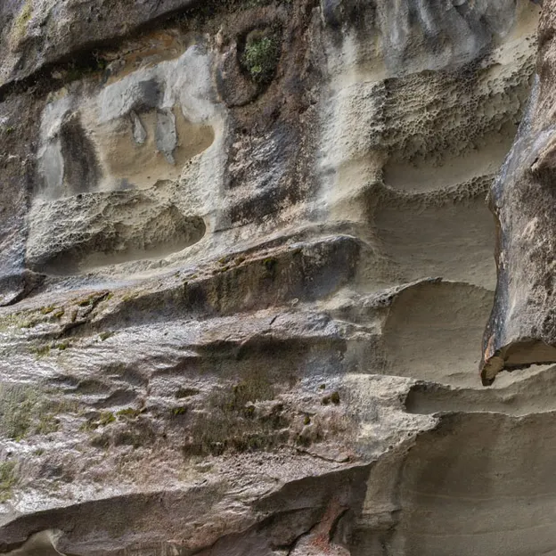 8.1.2020 Punakaiki — photograph 40 of 99