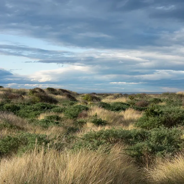 27.4.2020 Southshore Spit — photograph 23 of 26