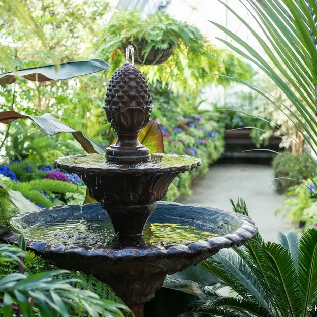 8.8.2020 Botanics With Family — photograph 16 of 20