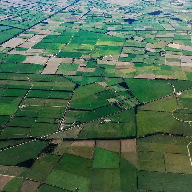 Canterbury, New Zealand — photograph 22 of 40
